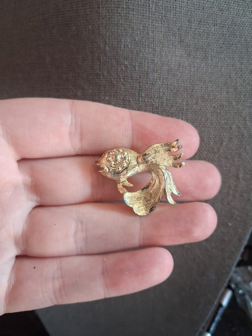 Unusual Fish brooch